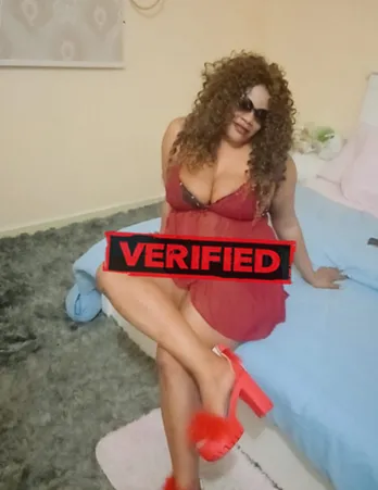 Sophia Muschi Finde eine Prostituierte Niel