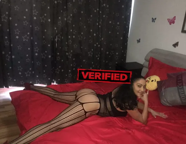 love sex Find a prostitute Pocora
